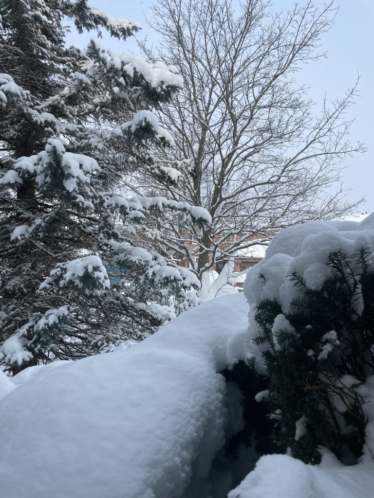 Why Re-Caulking Is Important Before Winter